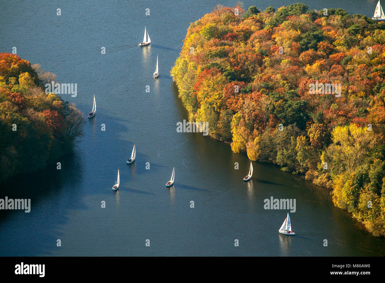 Luftaufnahme, Goldener Oktober am Halterner Stausee, Halterner Stausee mit Segelbooten, Trinkwasser, Gelsenwasser, Haltern am See, Ruhr sind Stockfoto