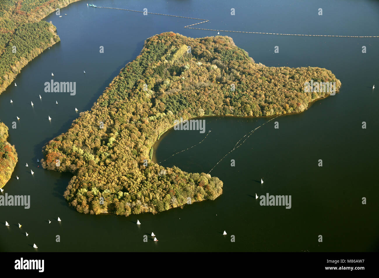 Luftaufnahme, Insel im See, Halterner Stausee mit Segelbooten, Trinkwasser, Gelsenwasser, Haltern am See, Ruhrgebiet,Rhine-West Stockfoto