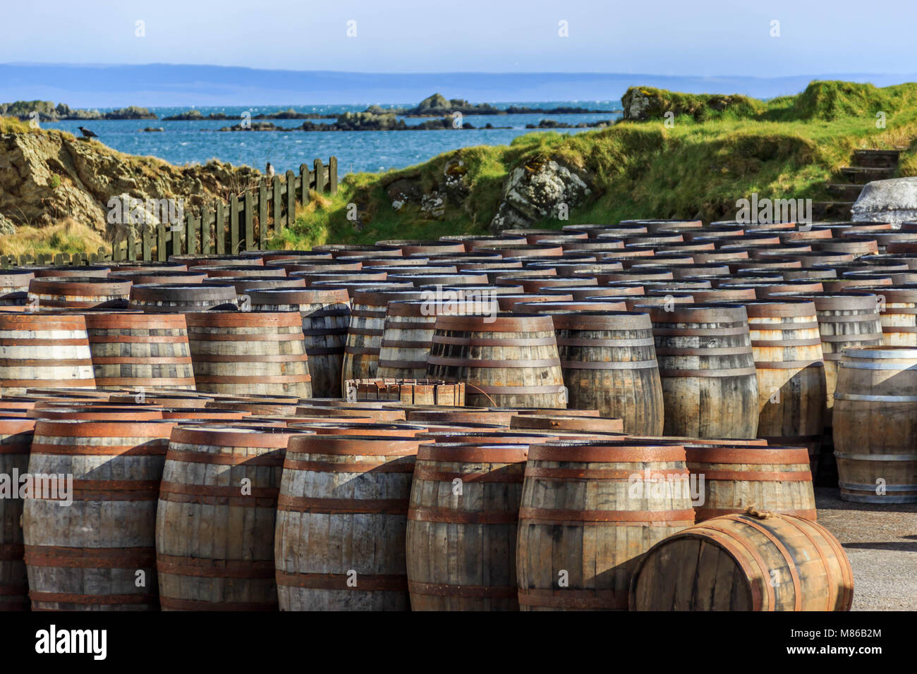 Reihen von Islay Whisky Fässern, gestapelt am Wasser in einer Scotch Distillery auf der Insel Islay, Schottland, Großbritannien Stockfoto