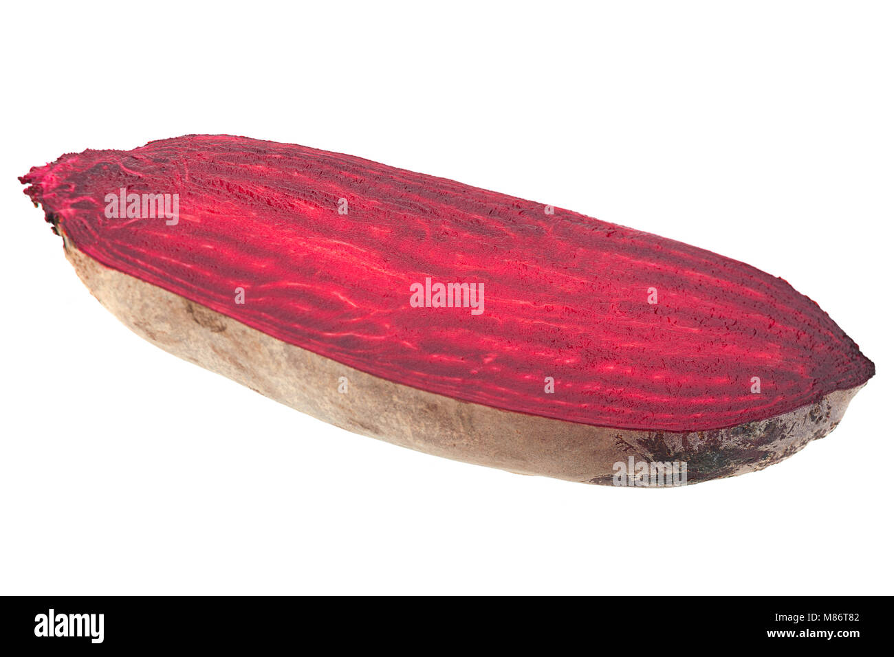 Lange Rote Beete Gemüse closeup isoliert auf weißem Stockfoto