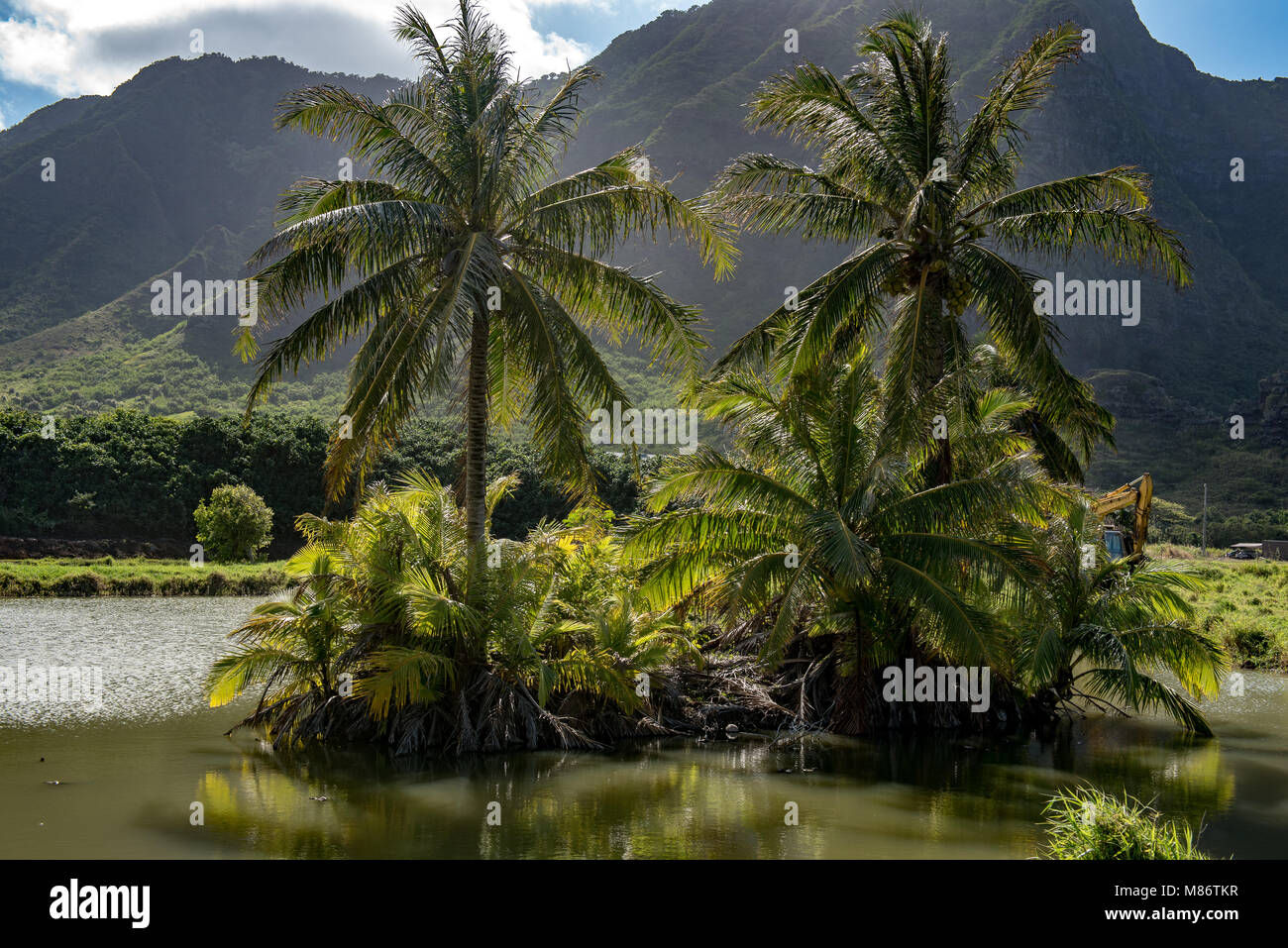 Berglandschaft, Hawaii, USA Stockfoto