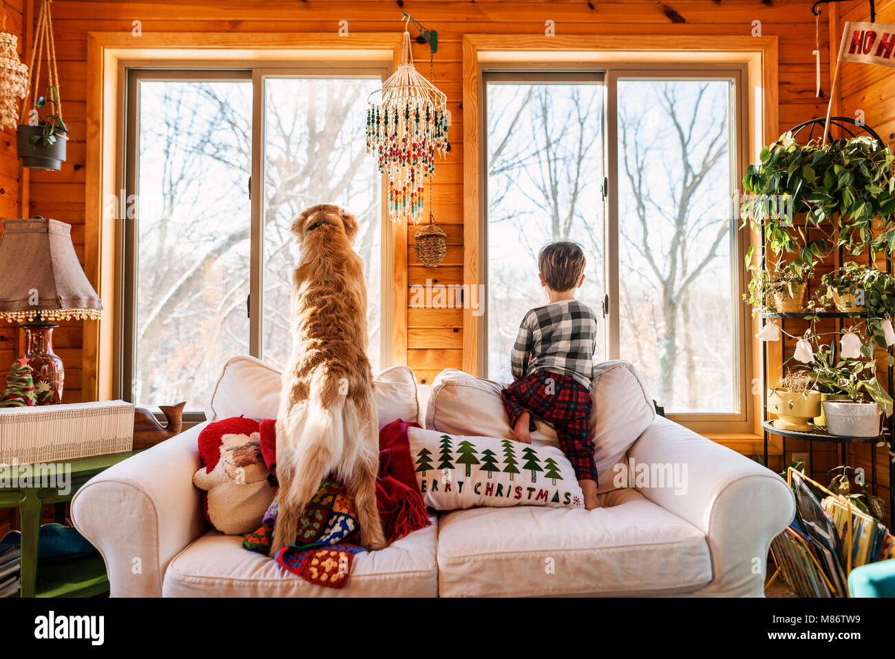 Junge und Golden Retriever Hund auf der Couch aus dem Fenster Stockfoto
