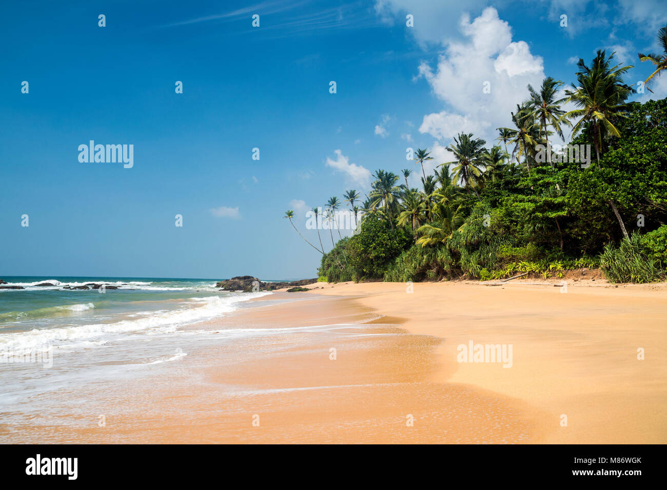 Tropischer Strand, Wellamadama, Matara, Südprovinz, Sri Lanka Stockfoto