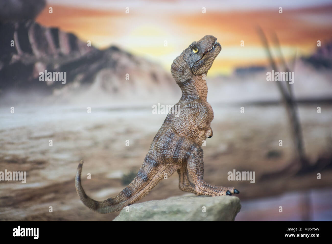 Baby Tyrannosaurus rex in Jurassic Welt Stockfoto