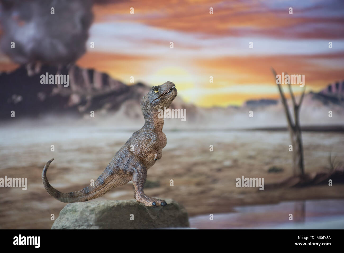 Baby Tyrannosaurus rex in Jurassic Welt Stockfoto