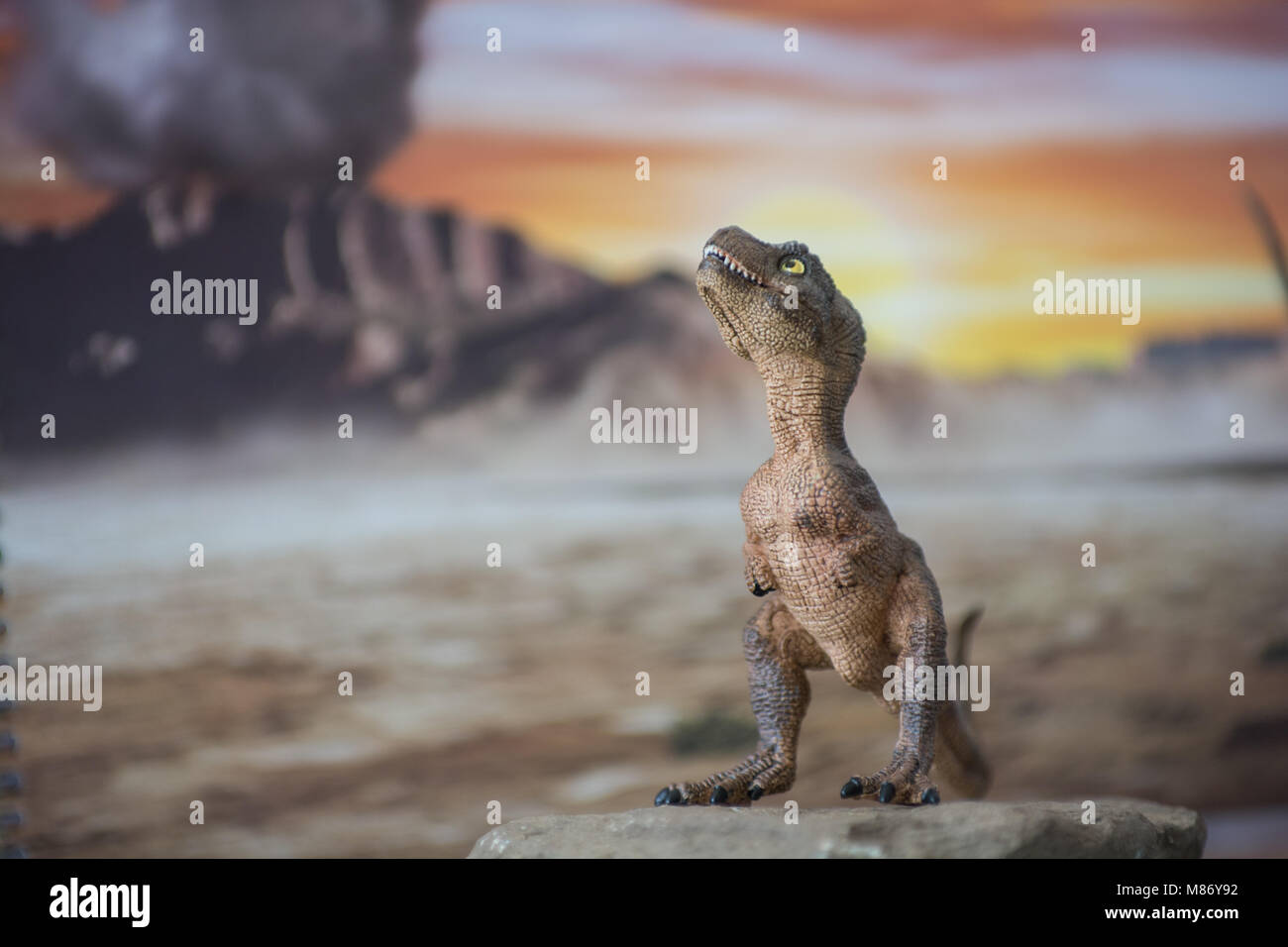 Baby Tyrannosaurus rex in Jurassic Welt Stockfoto