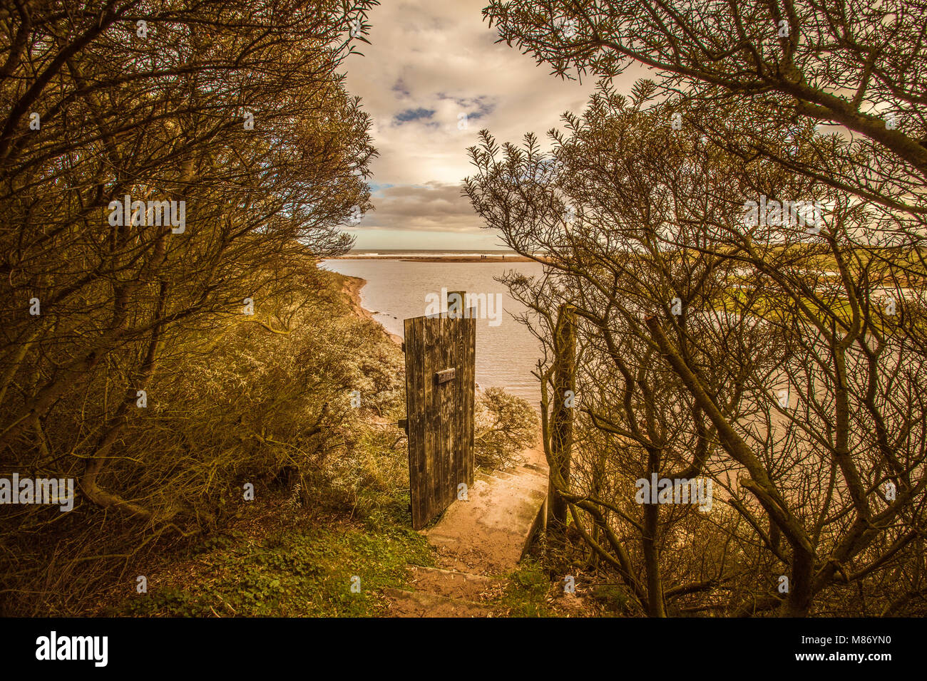 Gateway aus den Wäldern, die zum Meer Stockfoto