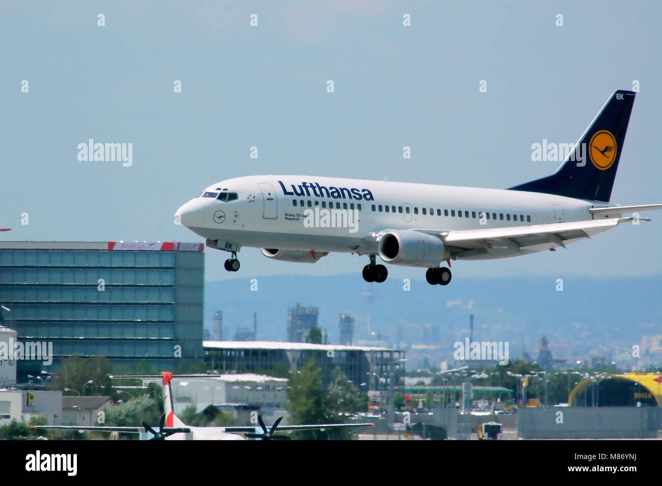 Lufthansa, Wuppertal, Boeing 737-300, 29.6.2008, VIE, Flughafen Wien Schwechat, Österreich, Europa Stockfoto