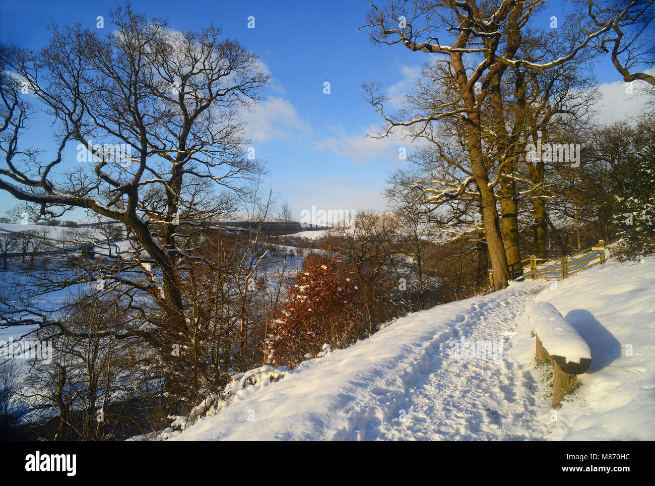 Führender Pfad durch den River Wharfe in Bolton Abbey im Winter schnee Wharfedale yorkshire dales Vereinigtes Königreich Stockfoto