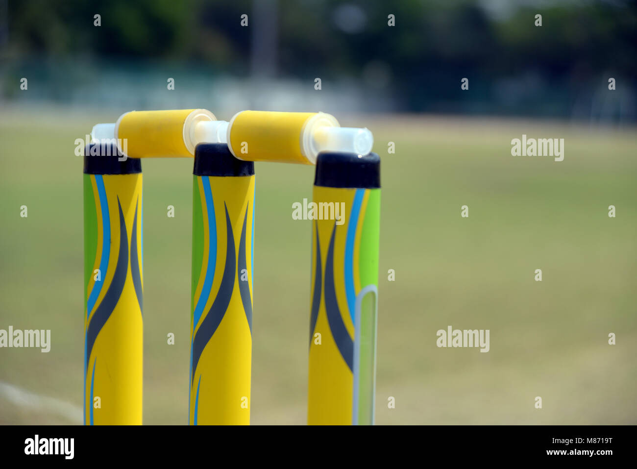 Kricket Kautionen und Stümpfe oder wicket auf Spielplatz, Nahaufnahme Stockfoto