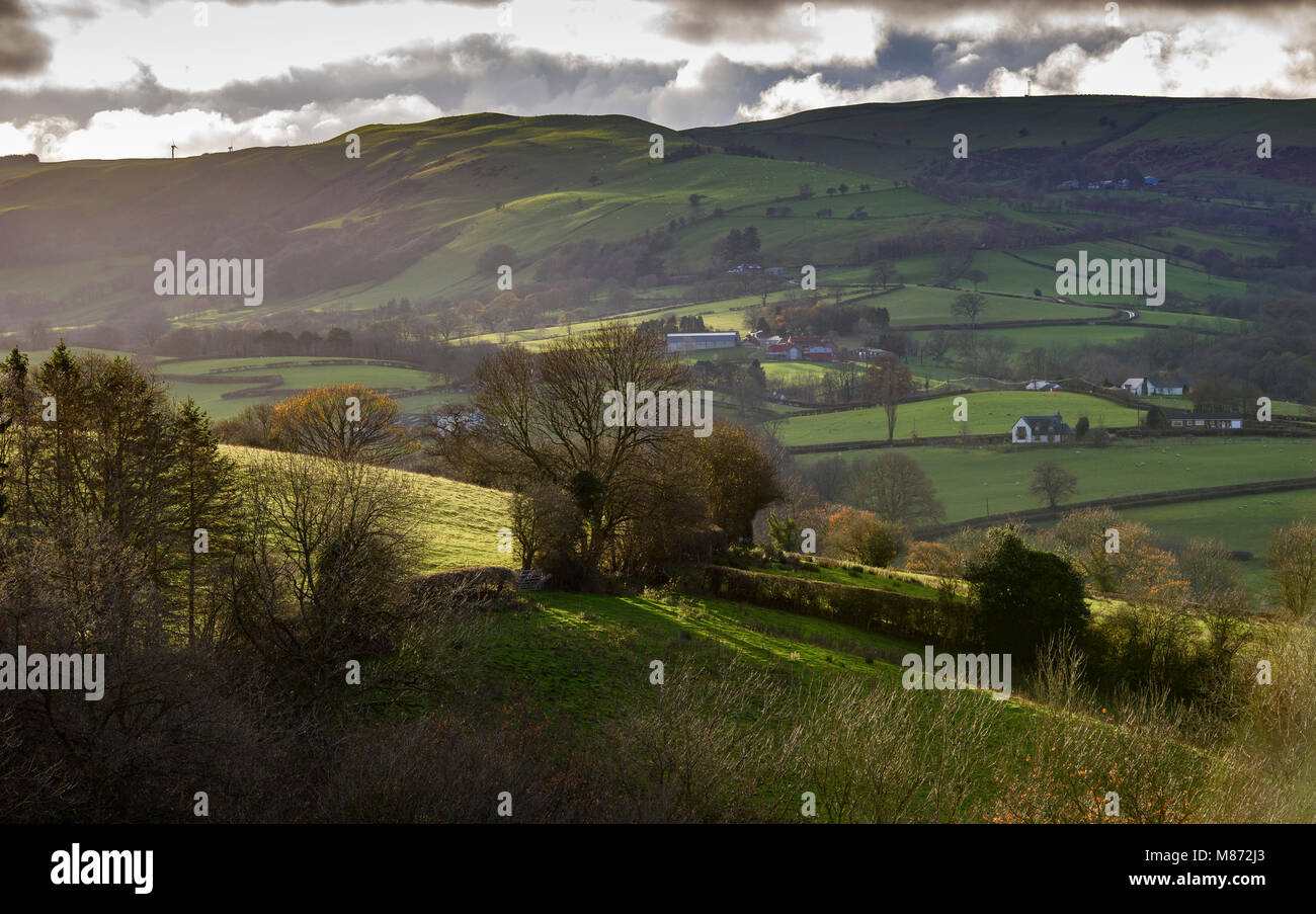 Abendsonne über Ackerland, Newtown, Powys, Wales. Stockfoto