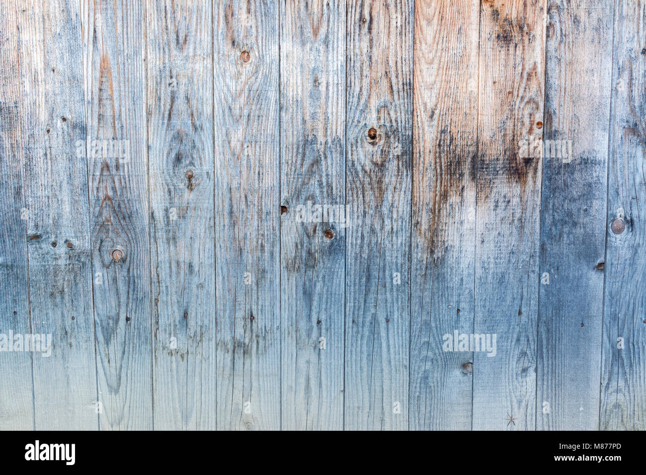 Holz Vorlage, Textur, natürlichen Hintergrund. leere Vorlage Stockfoto