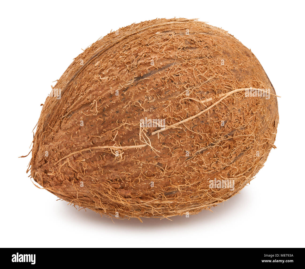 Coconut Pfad isoliert Stockfoto