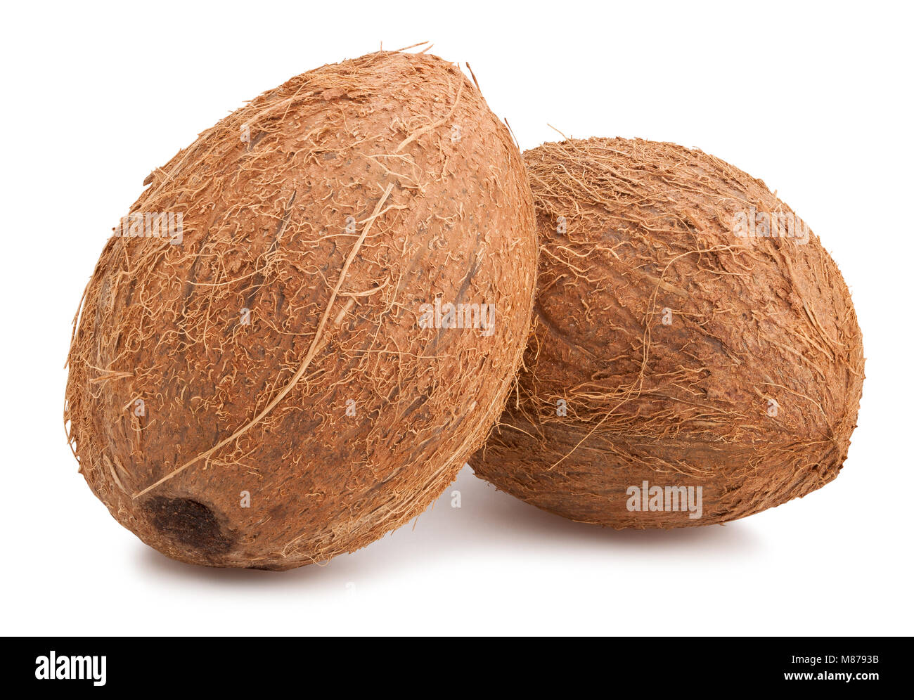 Coconut Pfad isoliert Stockfoto