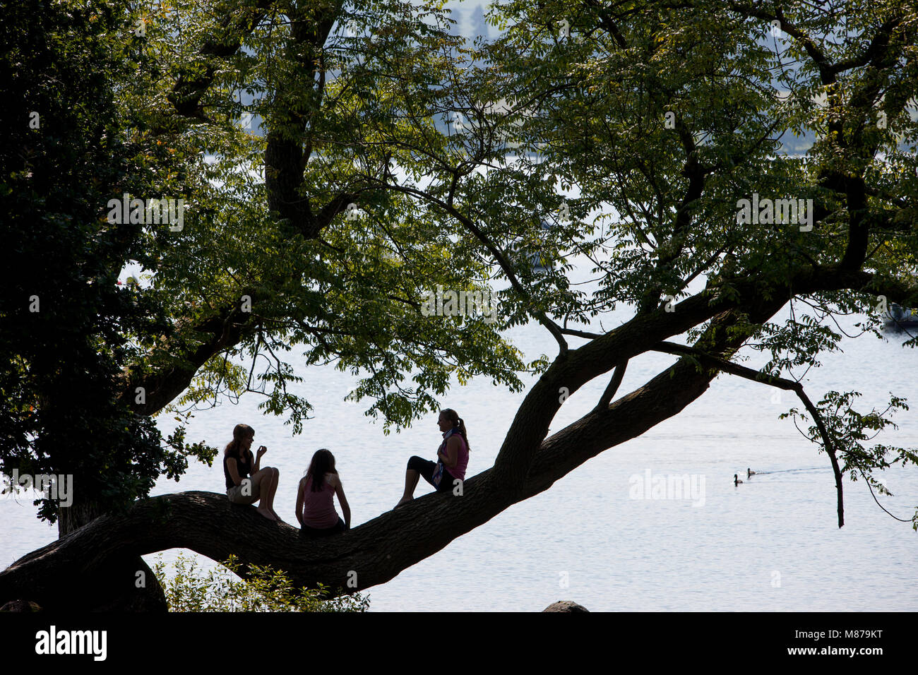 Drei Mädchen heraus hängen unter einem Baum an einem See Stockfoto