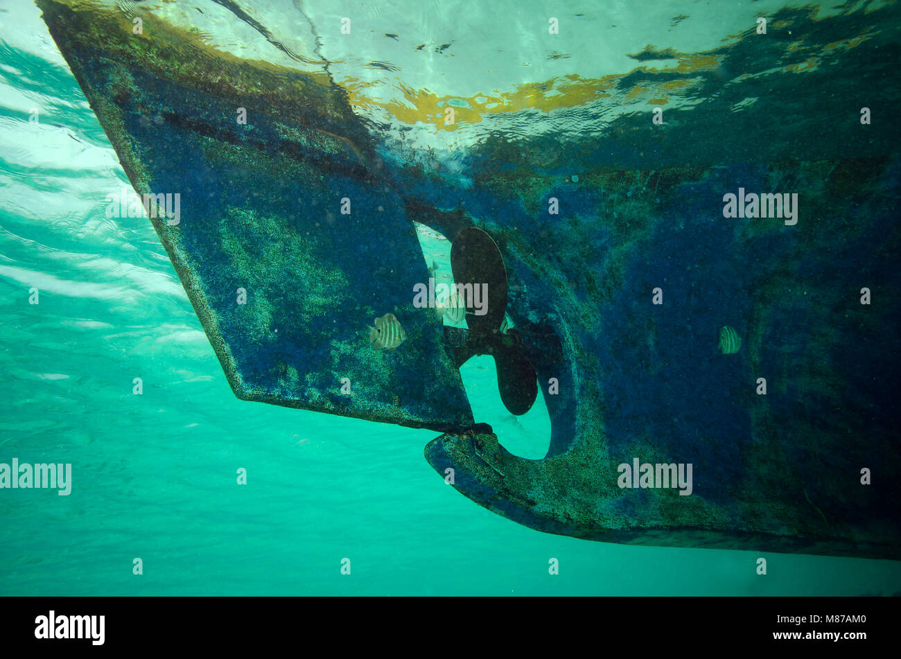 Unterwasser Bild der Propeller auf einer maledivischen Boot (Dhoni) mit Schwarz-spot Sergeant Fisch, Abudefduf sordidus, Bathala, Malediven. Stockfoto