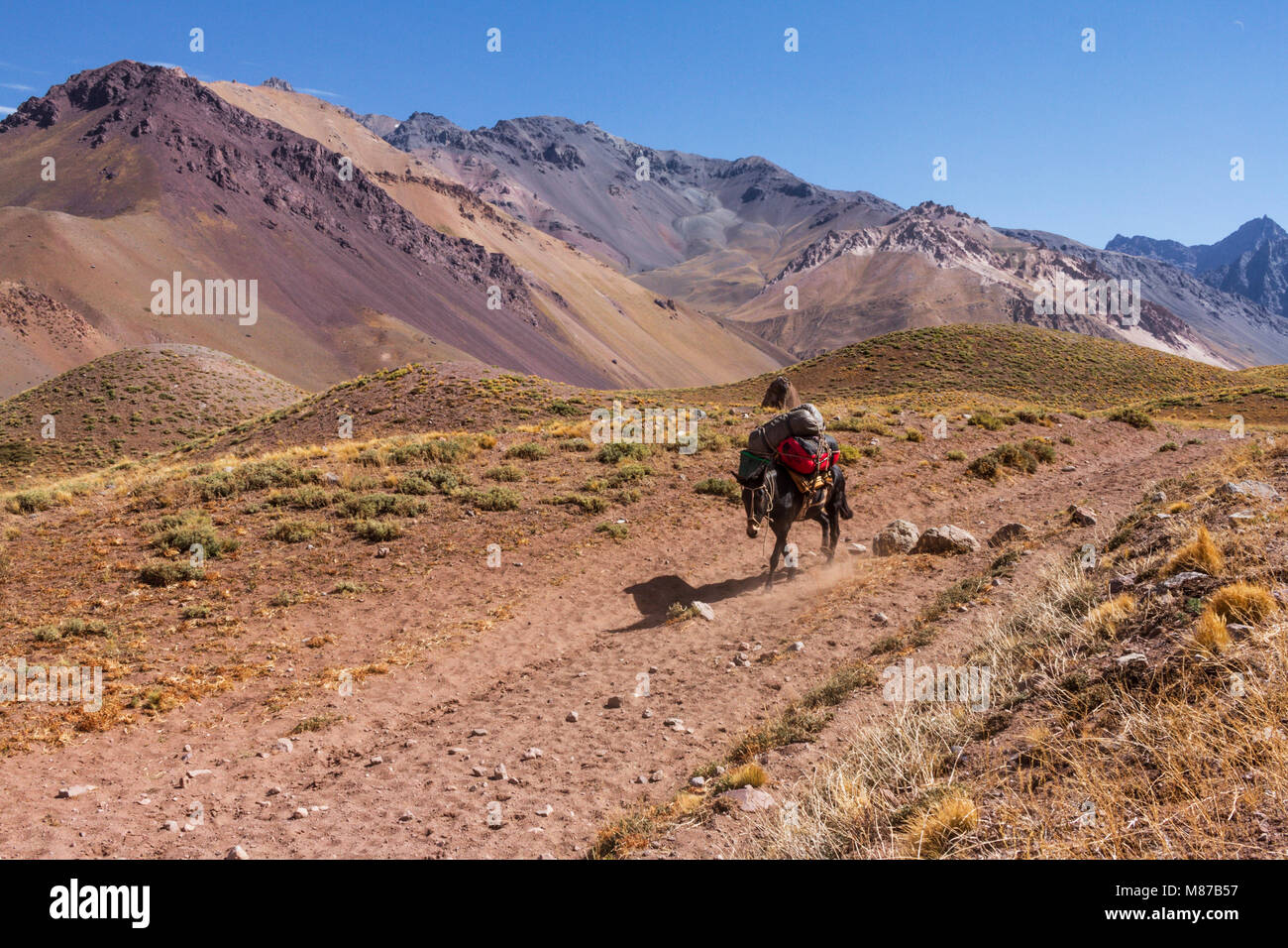 Nationalpark von Aconcagua Stockfoto