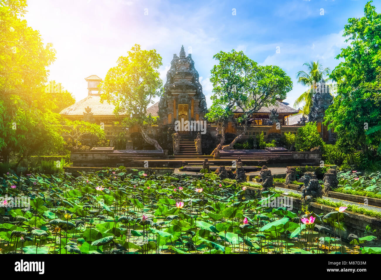 Herrliche Aussicht auf den Teich mit Lotusblumen in der Nähe von Pura Saraswati Hindu-Tempel in Ubud, Bali, Indonesien Stockfoto