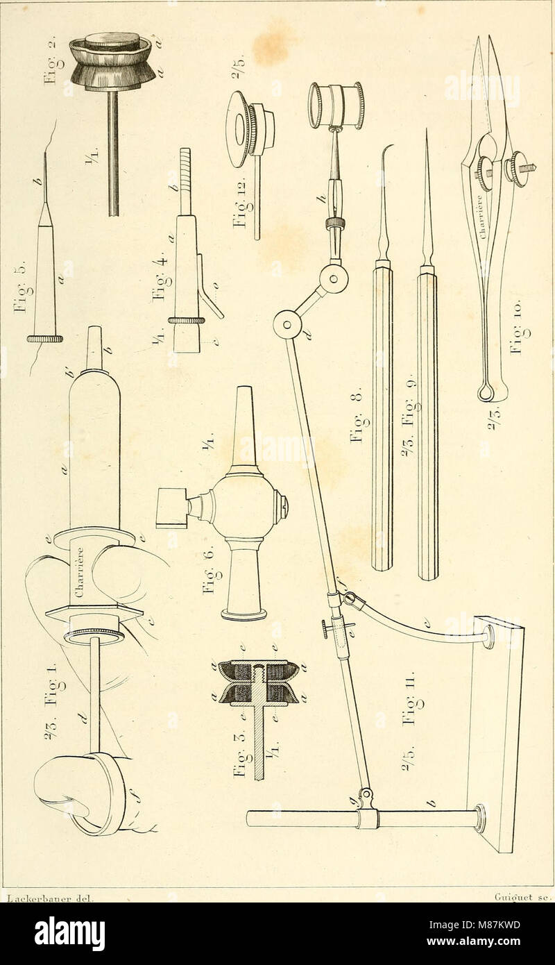 Eine Arbeit über das Mikroskop und seine Anwendungen in der Anatomie und Pathologie, einschließlich einer Klassifizierung der Grundlagenwissenschaften wie Biologie und Anatomie. Das Buch beleuchtet den Einsatz der Mikroskopie in der medizinischen und wissenschaftlichen Forschung. Stockfoto