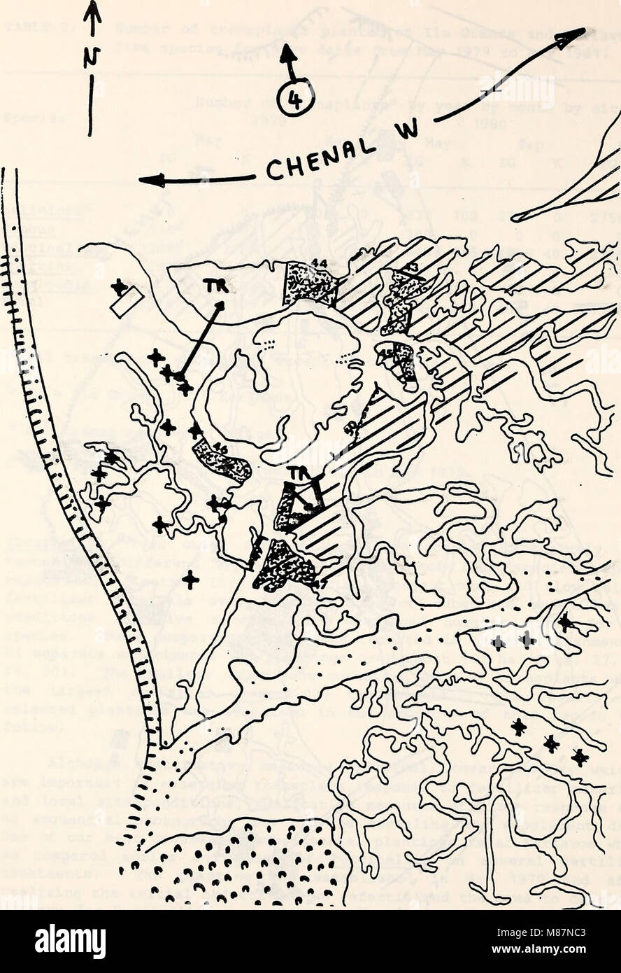 Ökologische Studie der Amoco Cadiz Ölpest - Bericht der NOAA-CNEXO Gemeinsame wissenschaftliche Kommission (1982) (20956978360) Stockfoto