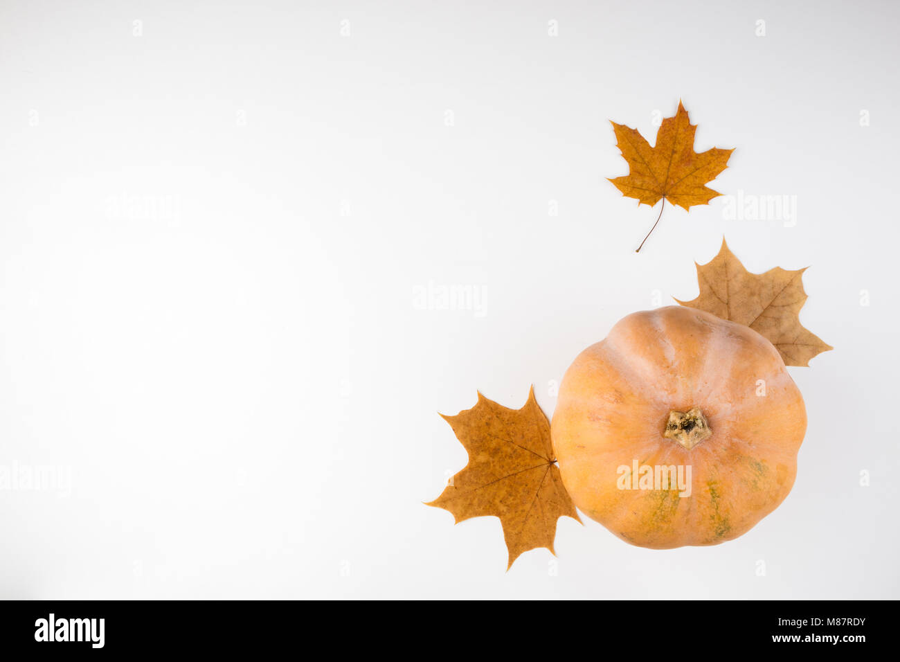 Herbst Hintergrund. Kürbis und Blätter auf weißem Hintergrund. Thanksgiving und Halloween card. Ansicht von oben, kopieren Raum Stockfoto