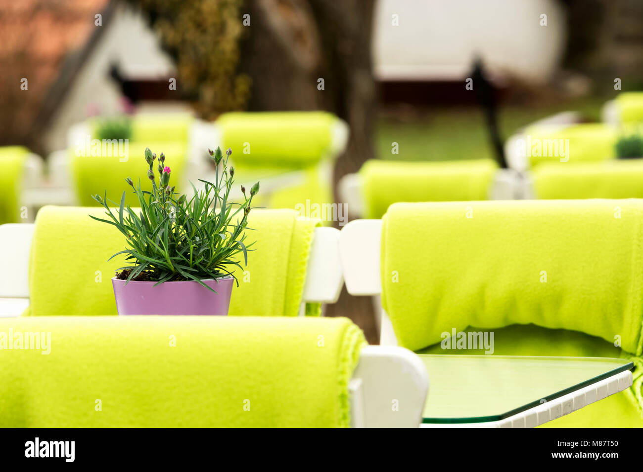 Restaurant im Freien im Frühling, Ungarn Stockfoto