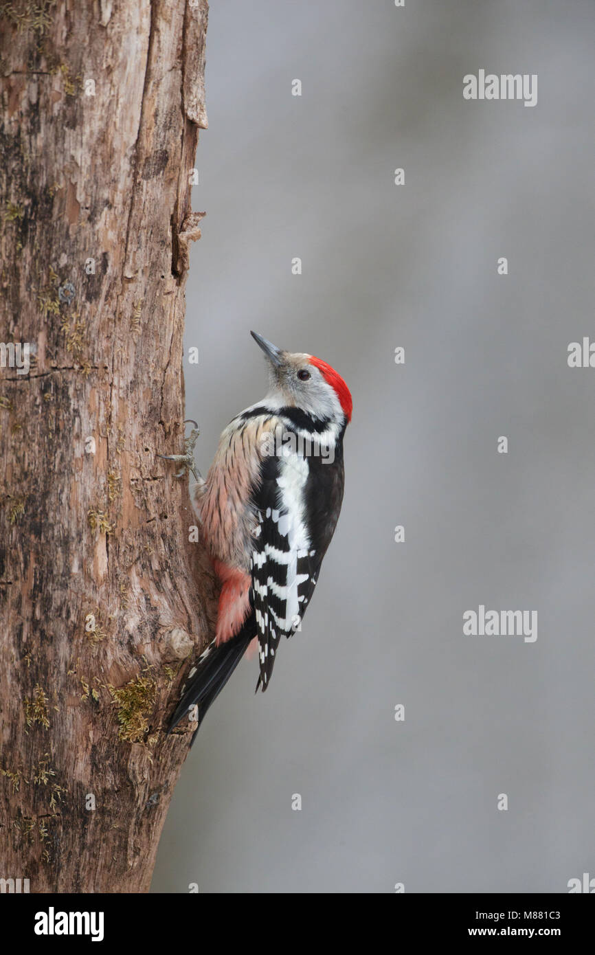 Bild von Arie Ouwerkerk Stockfoto