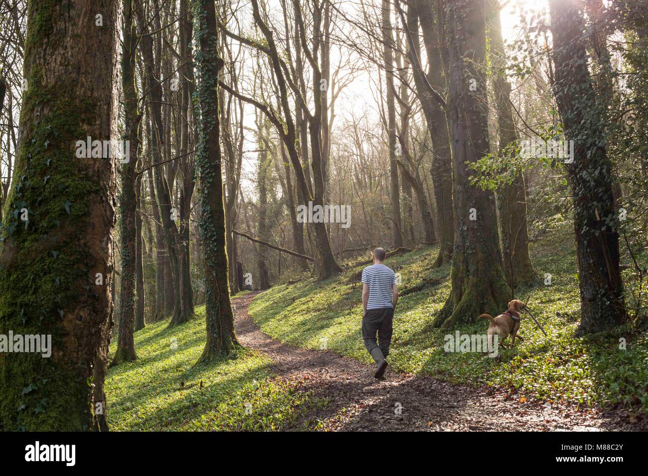 Cardiff, Wales, UK, 16. März, 2018. Ein Mann und Hund zu Fuß durch die Wälder an einem milden sonnigen Frühling Morgen vor einer weiteren kalten Bann der Wettervorhersage für Großbritannien nannte das "Tier aus dem Osten 2'. Credit: Mark Hawkins/Alamy leben Nachrichten Stockfoto