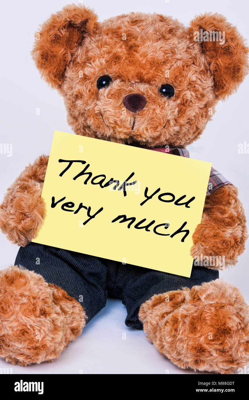 Cute teddy bear Holding ein gelbes Zeichen, sagt Danke sehr viel auf weißem Hintergrund Stockfoto