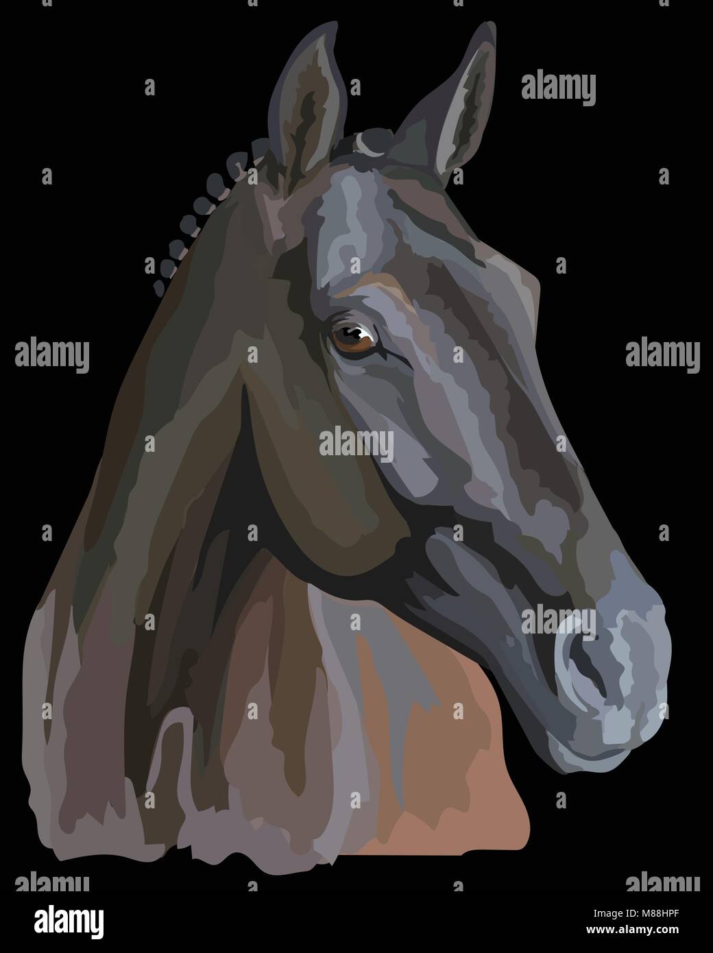 Farbige Porträt der Trakehner. Pferdekopf im Profil isoliert Vector Illustration auf schwarzem Hintergrund Stock Vektor