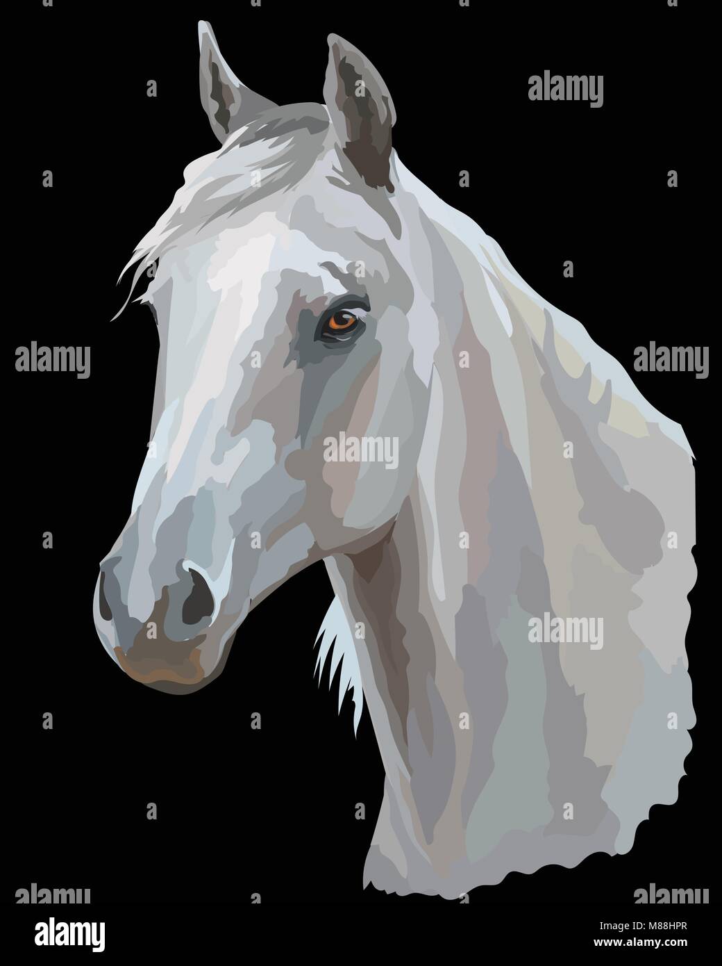 Farbige Portrait von weißen arabischen Pferd. Pferdekopf im Profil isoliert Vector Illustration auf schwarzem Hintergrund Stock Vektor