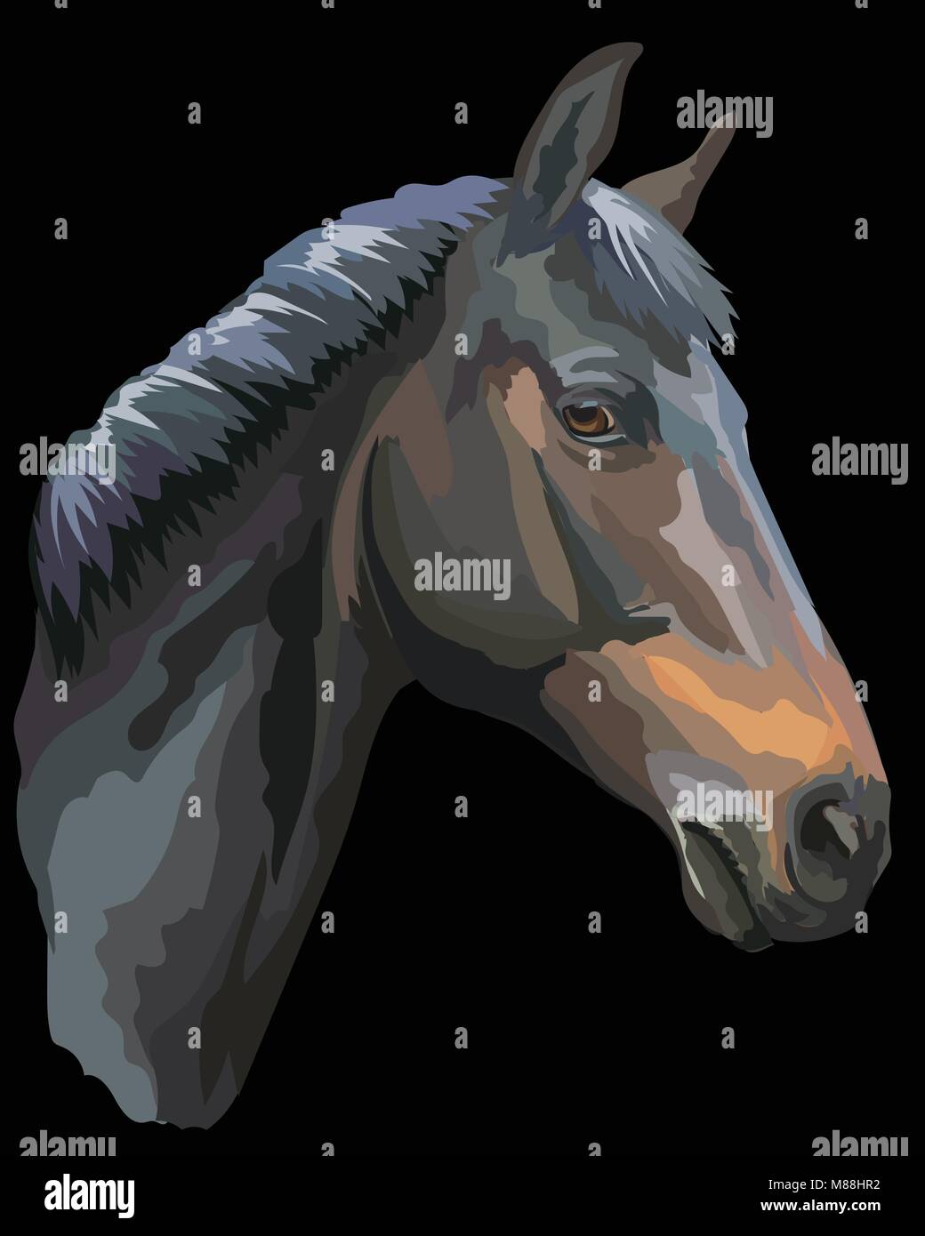 Farbige Portrait von schwarzen Trakehner Pferd. Pferdekopf im Profil isoliert Vector Illustration auf schwarzem Hintergrund Stock Vektor