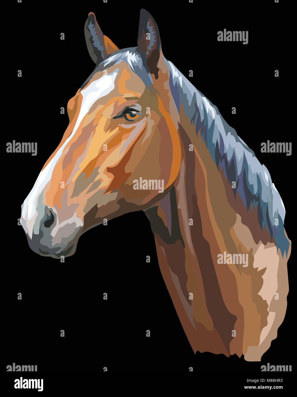 Farbige Porträt der Trakehner. Pferdekopf im Profil isoliert Vector Illustration auf schwarzem Hintergrund Stock Vektor
