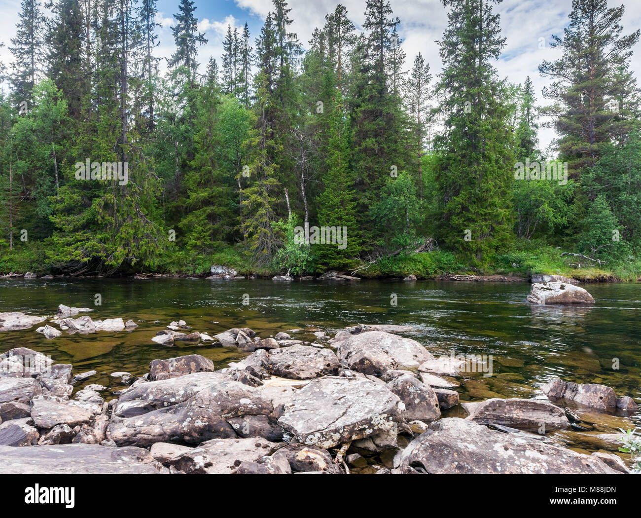 Felsigen Ufer und Grün auf Ljungan Fluss Fichte, Jamtland County, Schweden Stockfoto