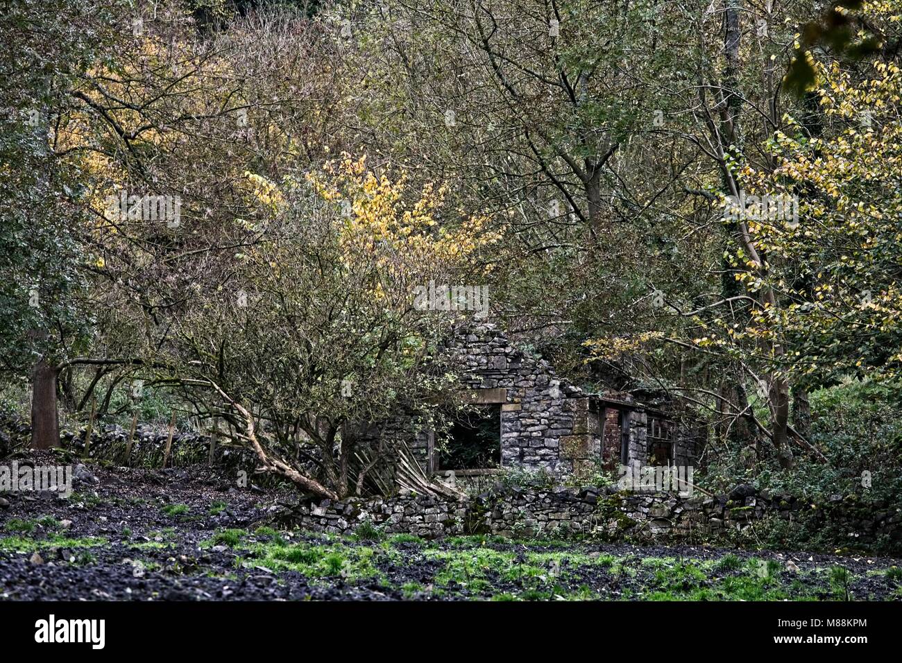 Aufgegeben und BEWACHSENE SCHEUNE IN MONSALDALE DERBYSHIRE UK Stockfoto