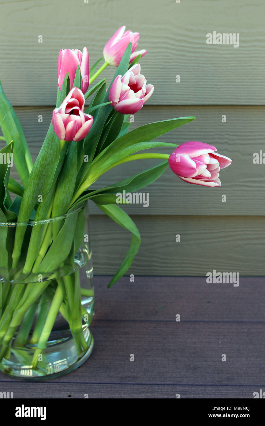 Ein Bouquet von rosa Tulpen in einem Glas Vase auf Holz- Hintergrund. Still life Fotografie Stockfoto