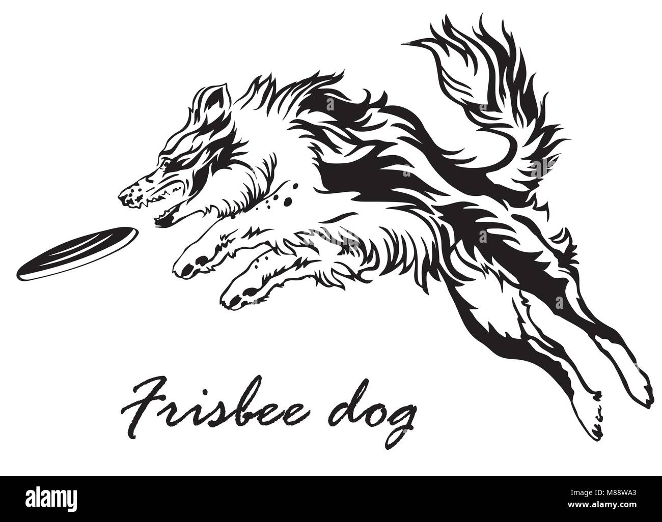 Vektor monochromen Abbildung mit Hund (Border Collie) auf weißem Hintergrund. Flauschigen schwarzen und weißen Hund im Profil anzeigen Springen und Fang Stock Vektor