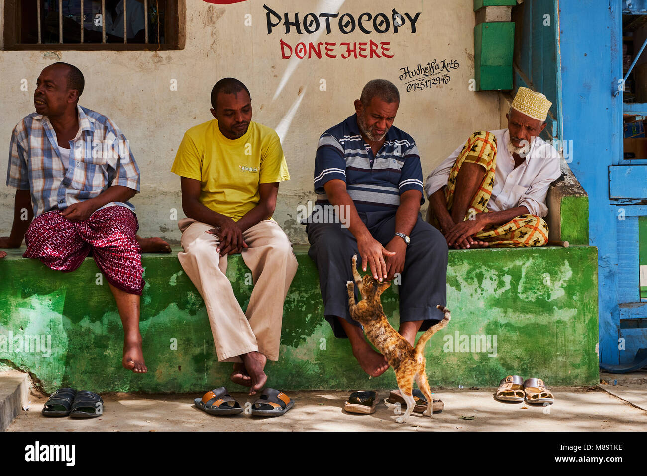 Kenia, Lamu Island, Lamu Stadt, Unesco Weltkulturerbe, Straße Katzen Stockfoto