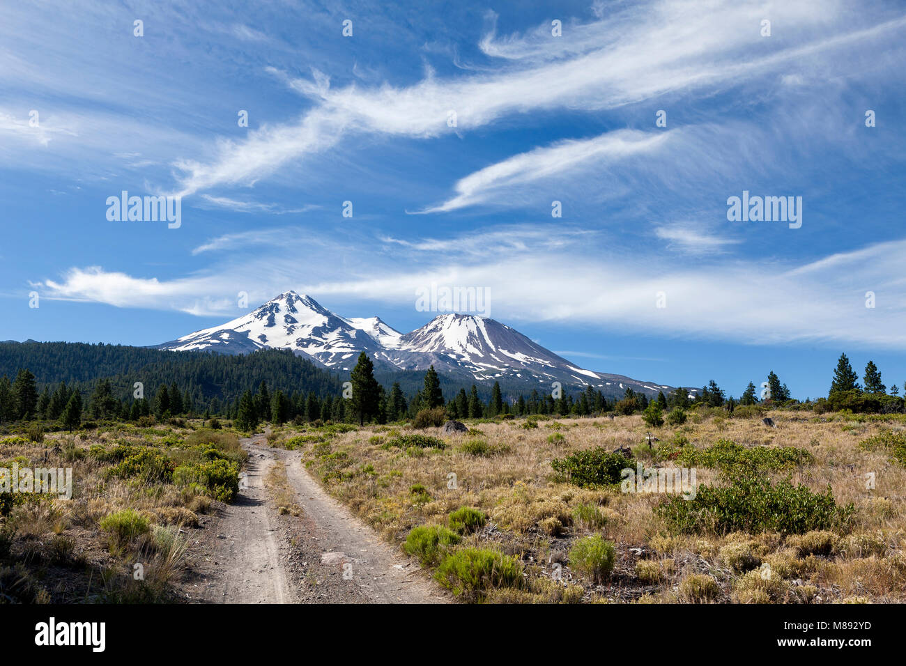 CA 02861-00 ... Kalifornien - bolam Straße und Mount Shasta in der Mount Shasta National Forest. Stockfoto
