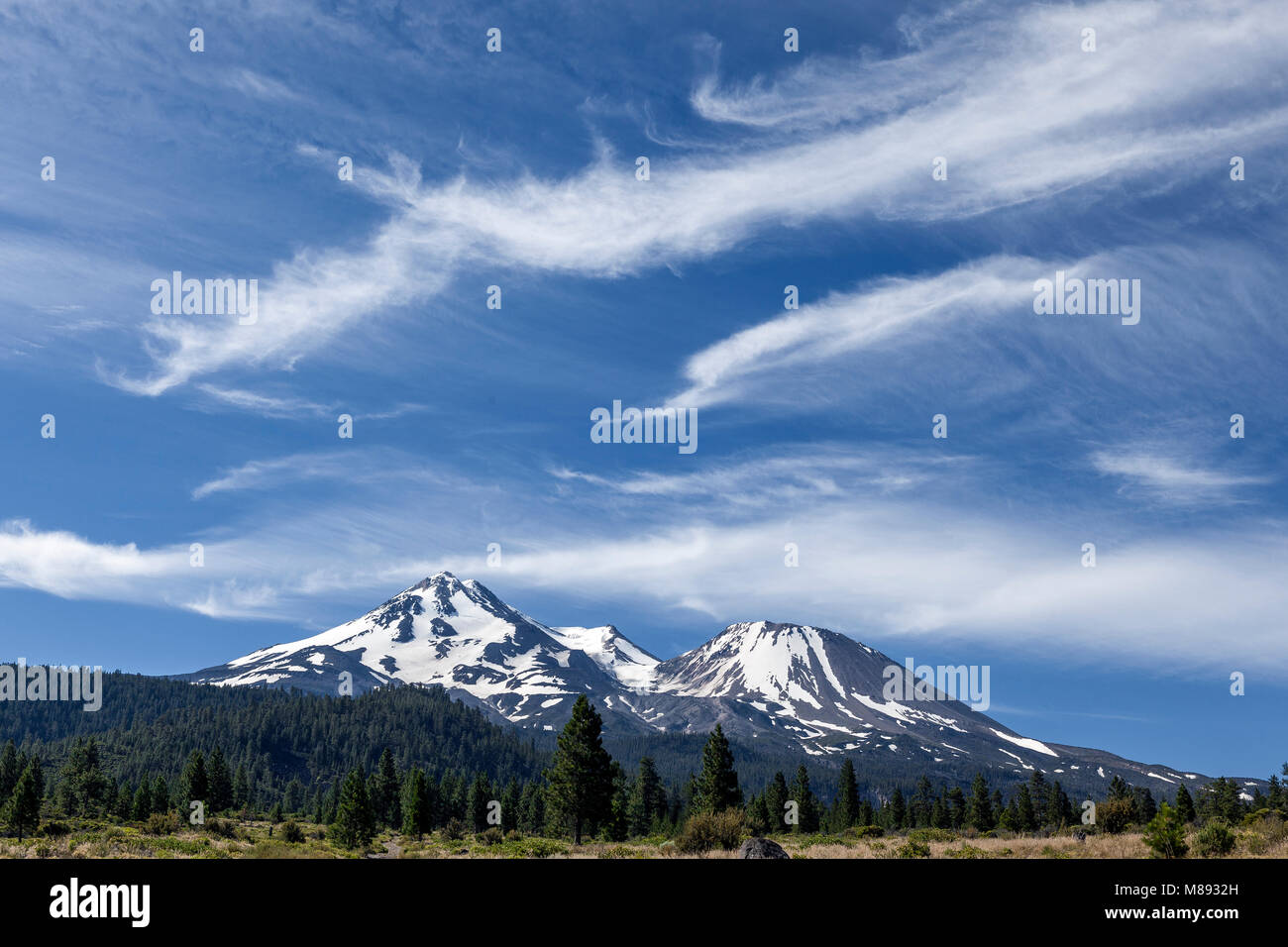 CA 02862-00 ... Kalifornien - Mount Shasta angesehen Form Bolam Straße in die Mount Shasta National Forest. Stockfoto