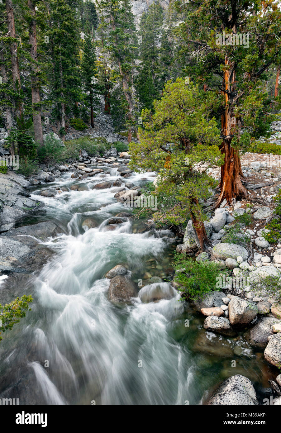 CA 03302-00 ... Kalifornien - piute Creek in der John Muir Wildnis. Stockfoto