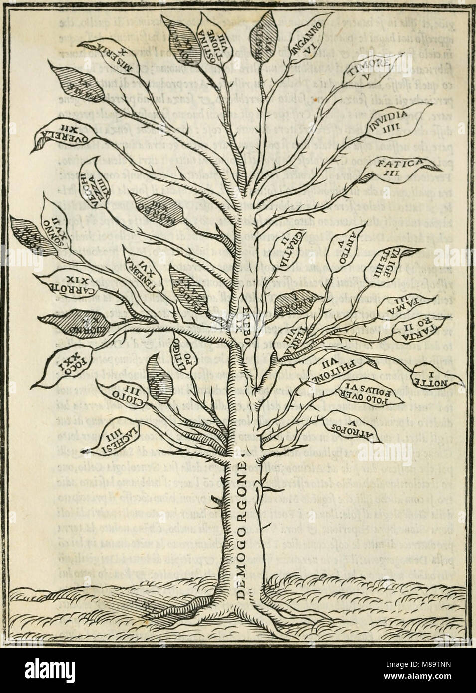 Geneologia de Gli Dei-i qvin deci Libri (1547) (14589748599) Stockfoto