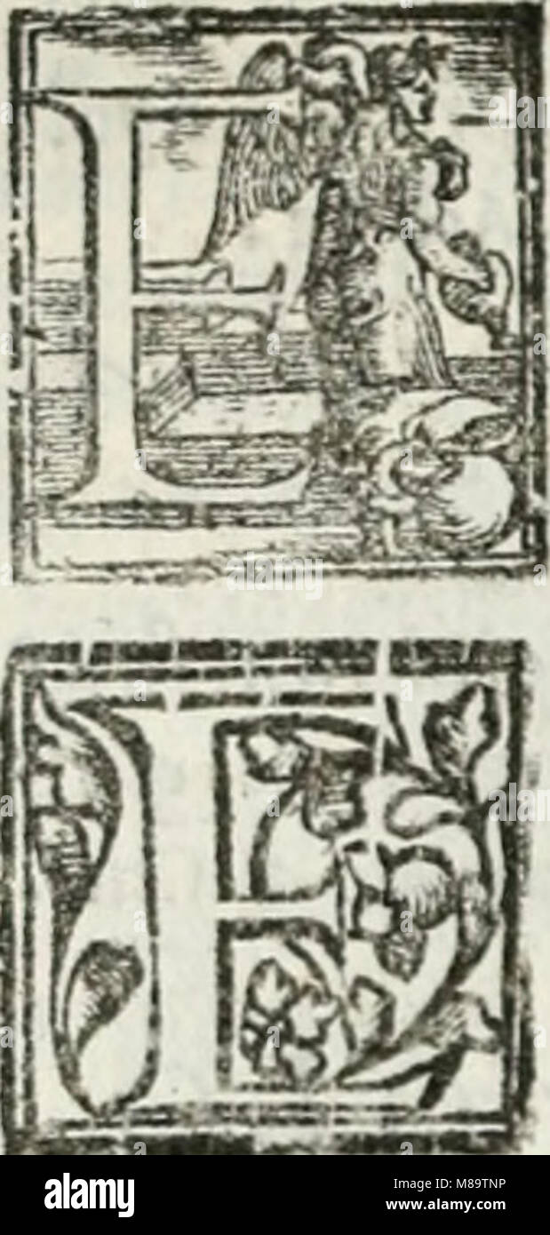 Geneologia de Gli Dei-i qvin deci Libri (1547) (14776842325) Stockfoto