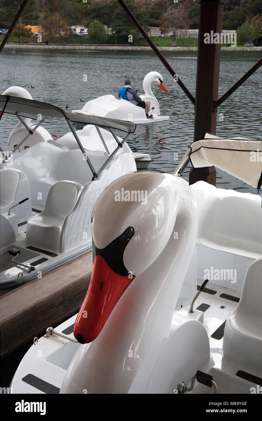 Swan Tretboote im Echo Park See in Los Angeles, CA Stockfoto
