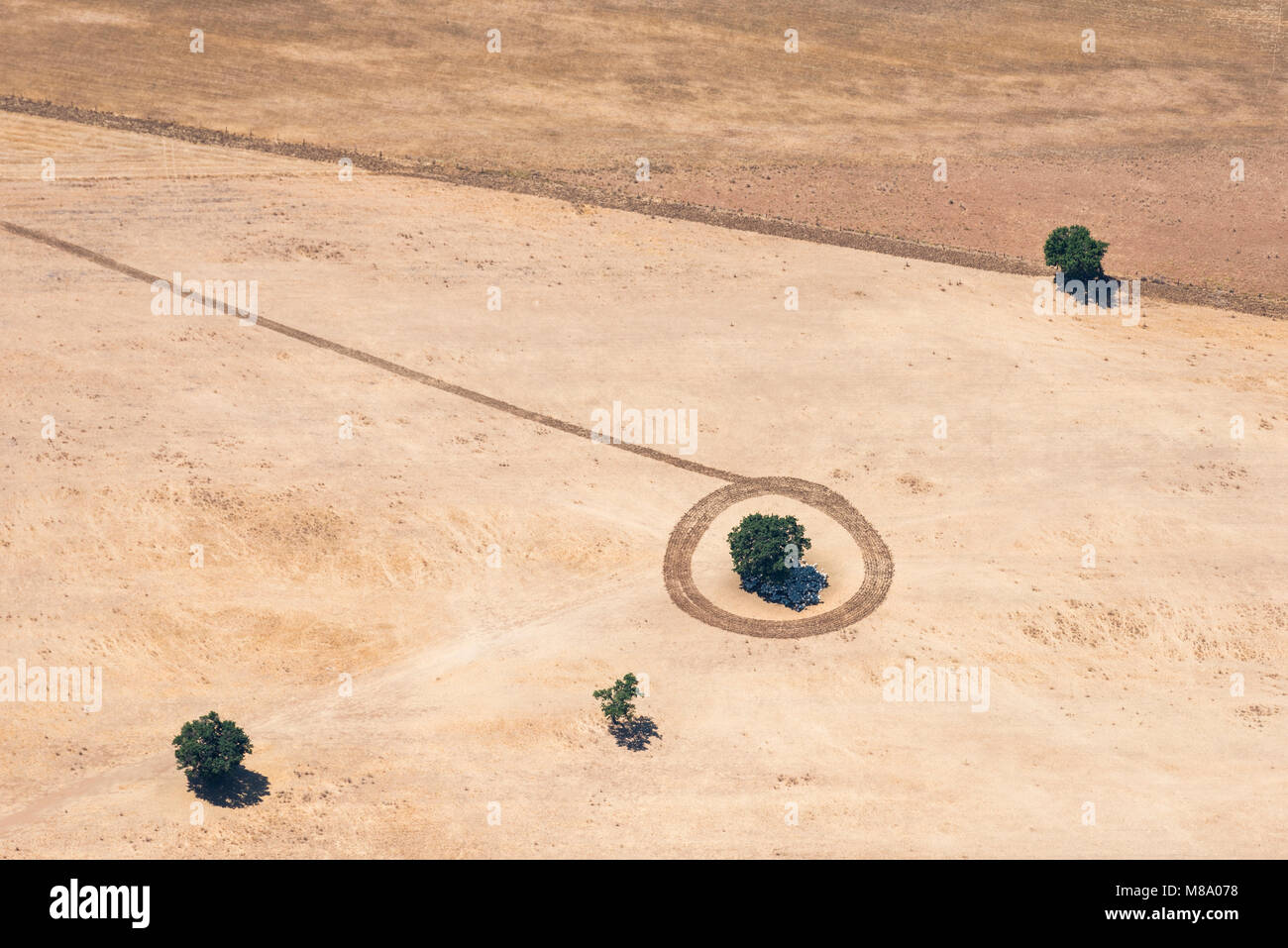 Luftbild von Bauern, die Spaß hatten einen tracktor Kreis um ein Baum in einem Feld in Italien trace Stockfoto