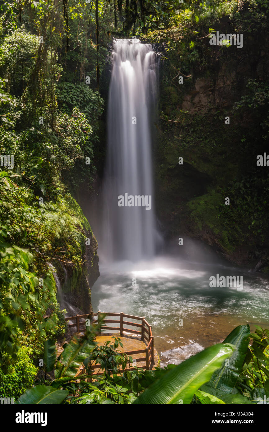 Im Regenwald, ein Blick von oben auf eine der tosenden Wasserfällen und aussichtsplattformen an der La Paz Wasserfall Garten in Costa Rica. Stockfoto
