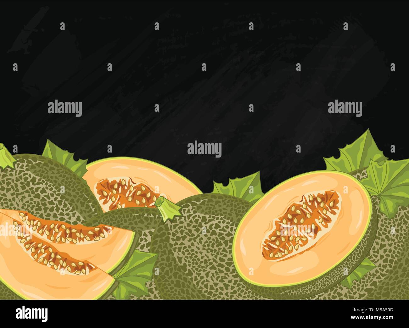 Melone Obst Zusammensetzung auf die Schiefertafel, Vektor Stock Vektor