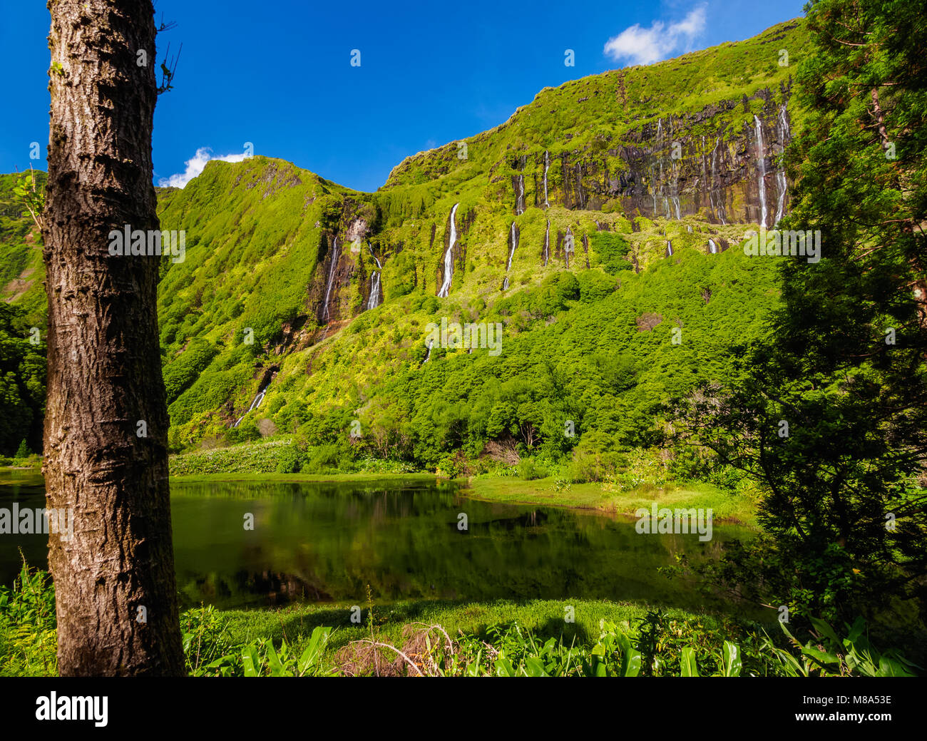 Wasserfälle von der Poco da Alagoinha, Ribeira Grande, Flores, Azoren, Portugal Stockfoto