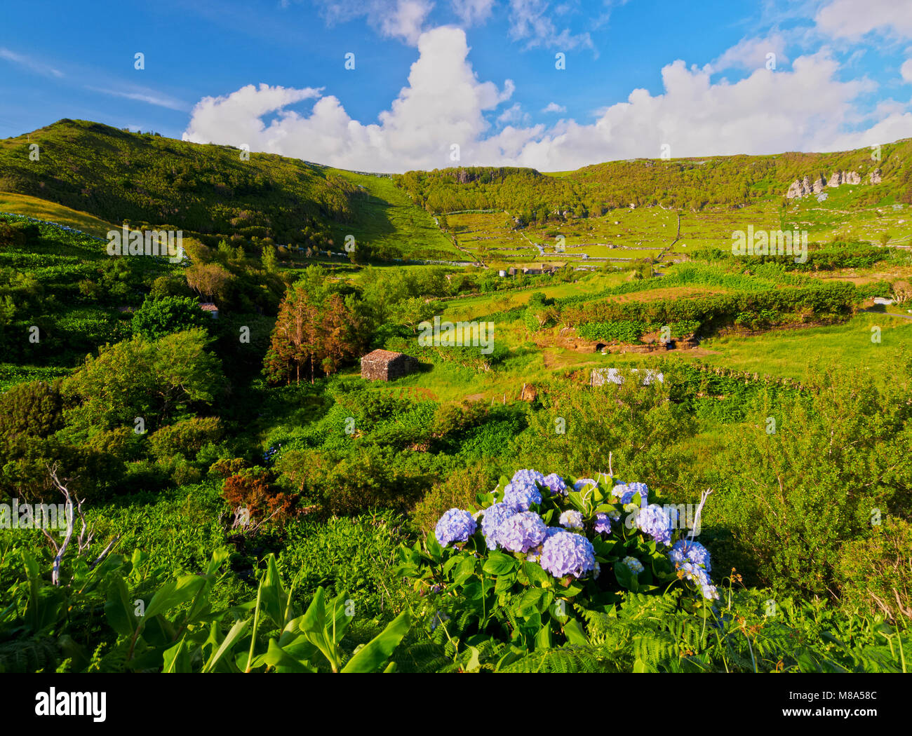 Landschaft der Insel Flores, Azoren, Portugal Stockfoto