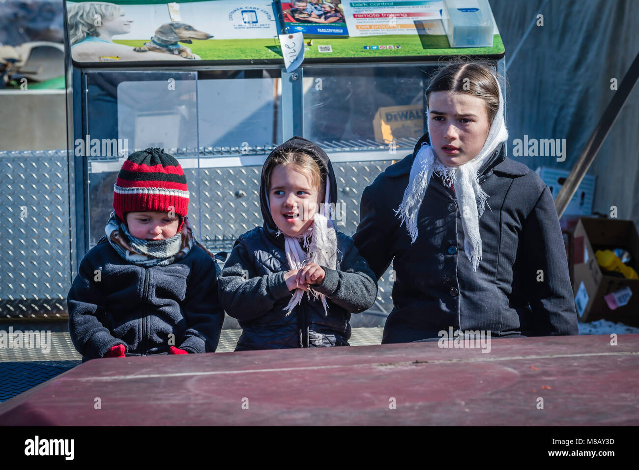 Schlamm Vertrieb, Zustand der auftauen Boden im späten Winter und frühen Frühling, sind große Spendenaktionen für die Freiwillige Feuerwehr Firmen in Amish Country Stockfoto